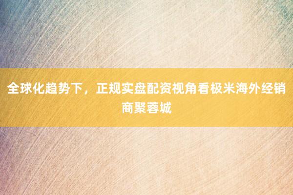 全球化趋势下，正规实盘配资视角看极米海外经销商聚蓉城