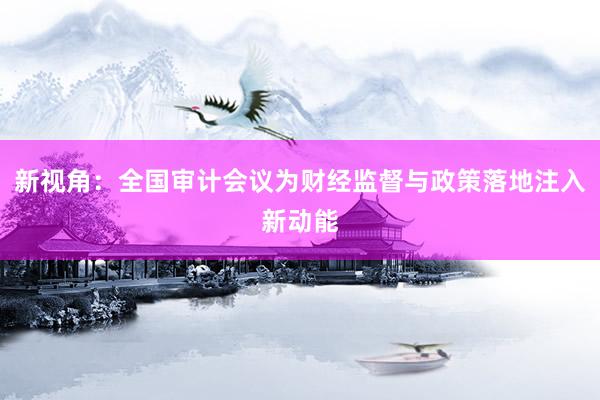 新视角：全国审计会议为财经监督与政策落地注入新动能