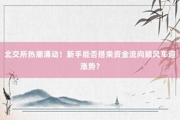 北交所热潮涌动！新手能否搭乘资金流向顺风车迎涨势？